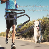 Running Reflective Pull Dog Leash