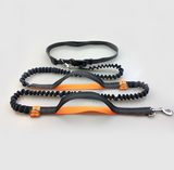 Running Reflective Pull Dog Leash