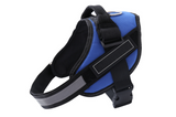 BleuGearShop No pull Dog Harness, Personalized ID Custom Patch with Name and Phone Number