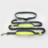 Running Reflective Pull Dog Leash