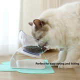 Cat Non Slip Raised Feeder Stand With Double Bowls Protects Cervical Vertebrae